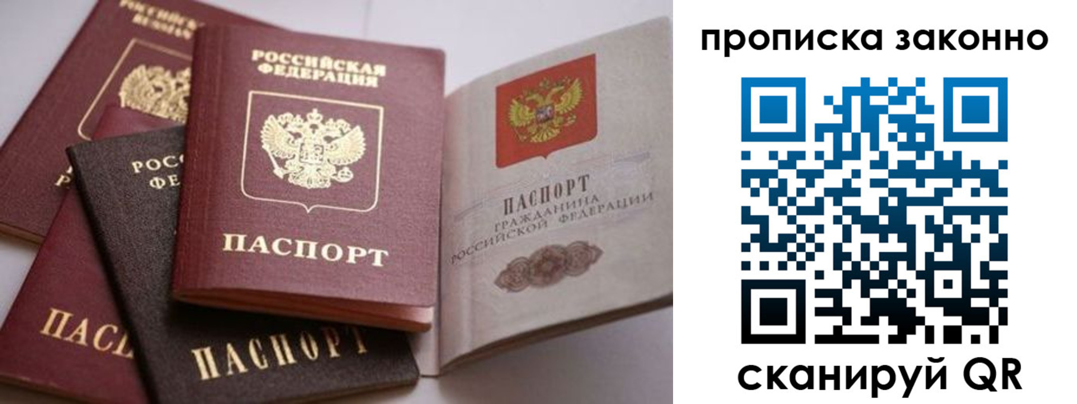 прописка 2025 в Светлом